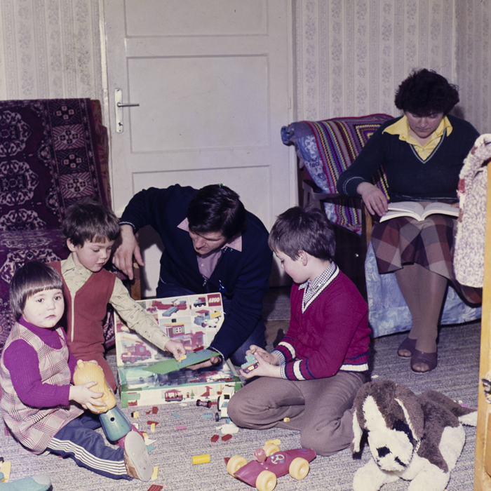 minerva_dn_2677_familii_dambul_rotund_002