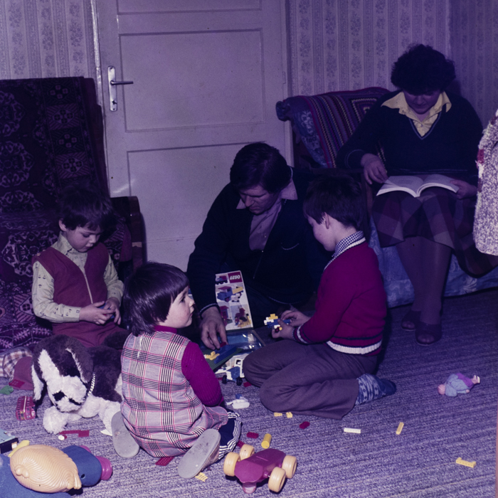 minerva_dn_2677_familii_dambul_rotund_004