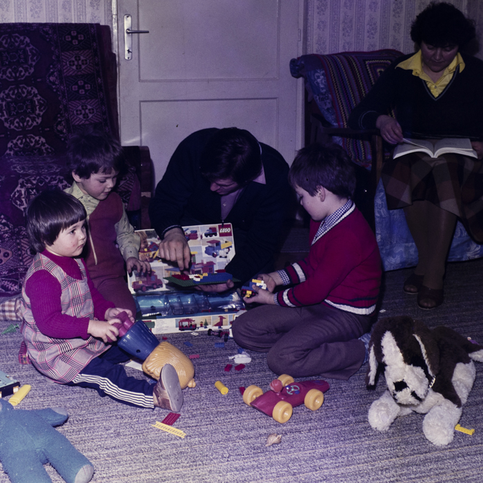 minerva_dn_2677_familii_dambul_rotund_005