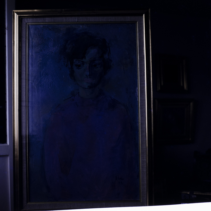 minerva_dn_arta_plastica_004