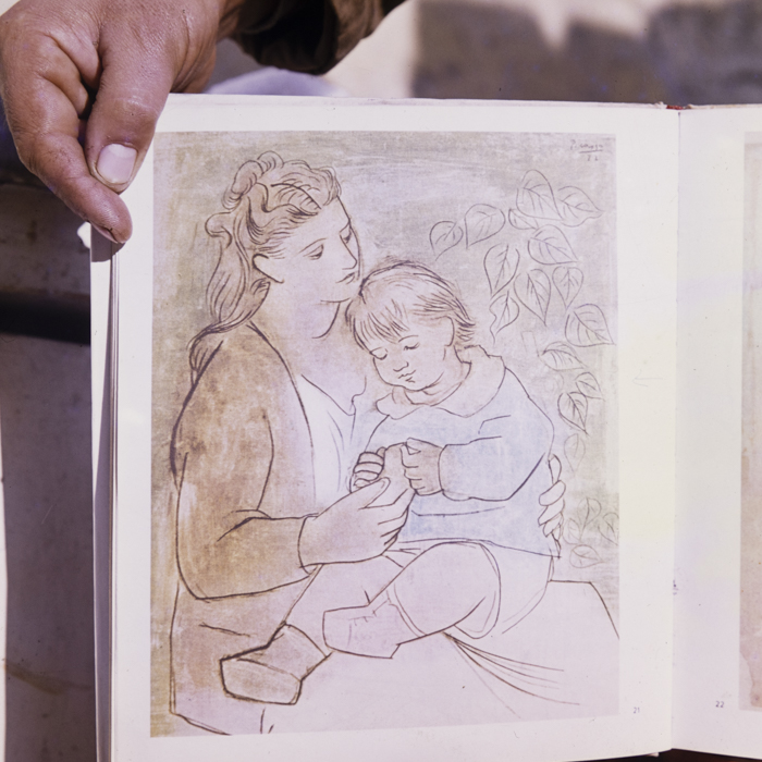 minerva_dn_arta_plastica_007