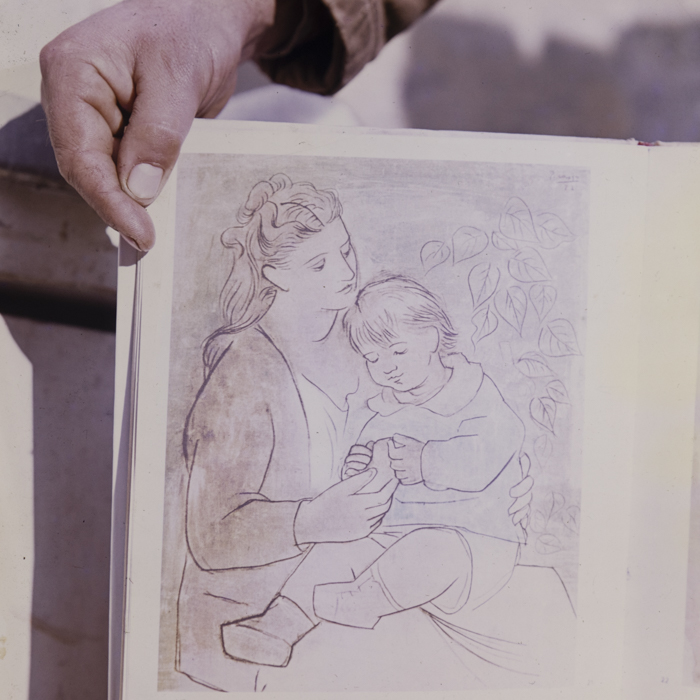 minerva_dn_arta_plastica_008