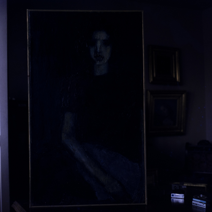 minerva_dn_arta_plastica_009