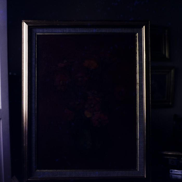 minerva_dn_arta_plastica_010