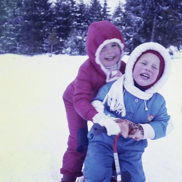 minerva_dn_aspecte_de_iarna_001