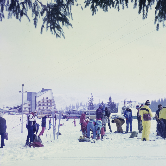 minerva_dn_aspecte_de_iarna_003