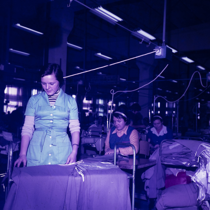 minerva_dn_aug_23_001