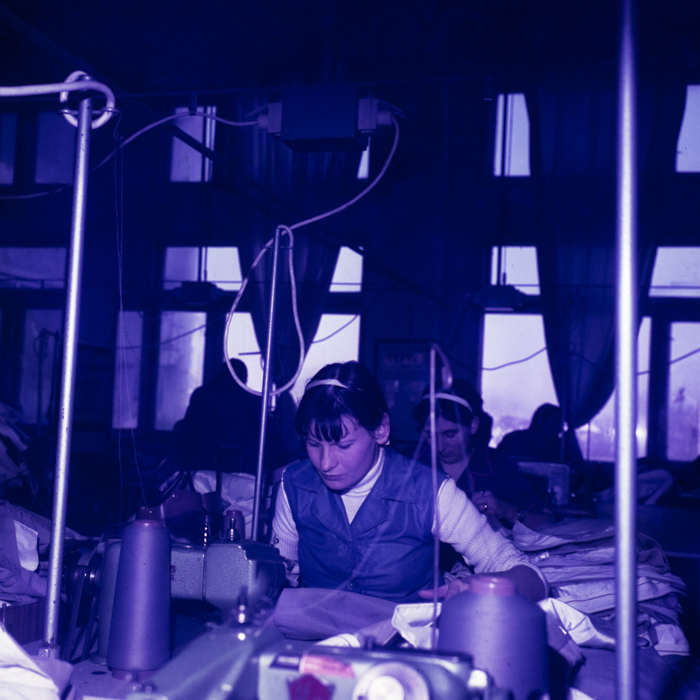 minerva_dn_aug_23_002