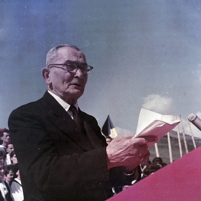 minerva_dn_bistra_001