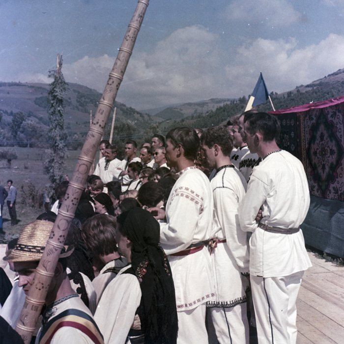 minerva_dn_bistra_003