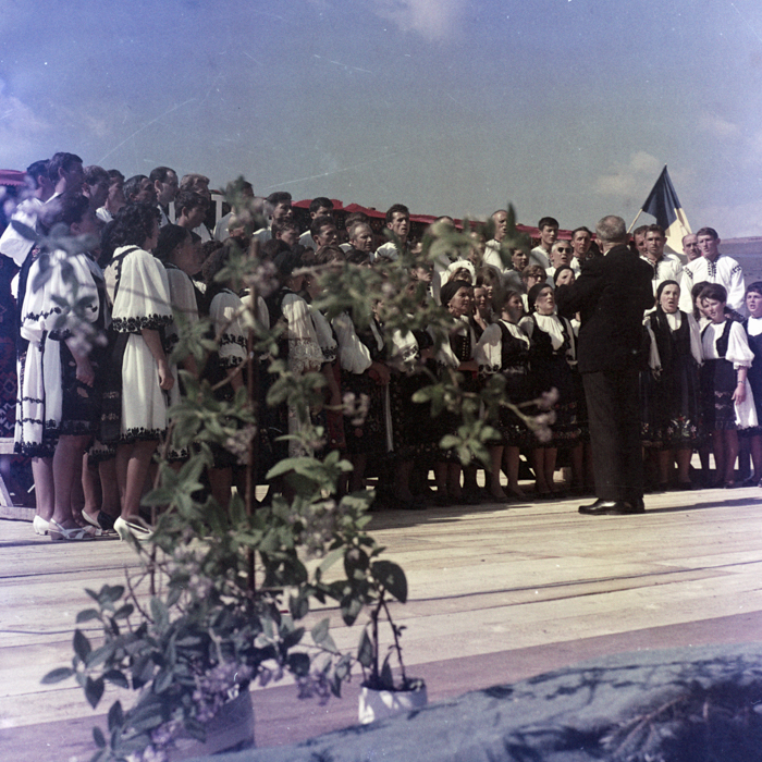 minerva_dn_bistra_2_014