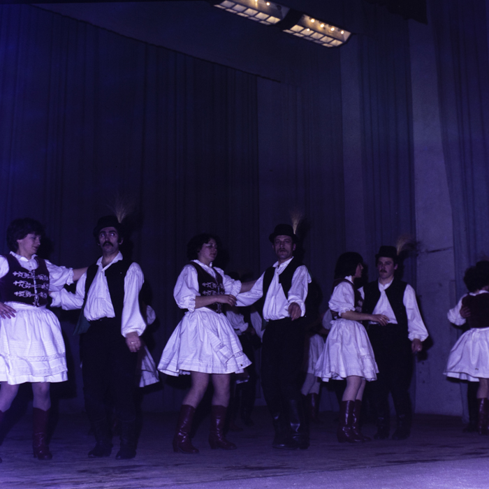 minerva_dn_bistrita_tanc_001