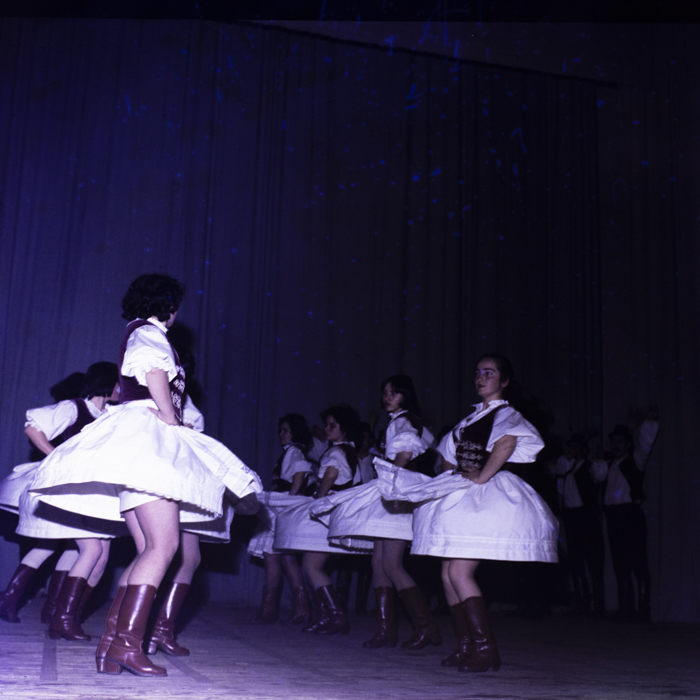 minerva_dn_bistrita_tanc_002