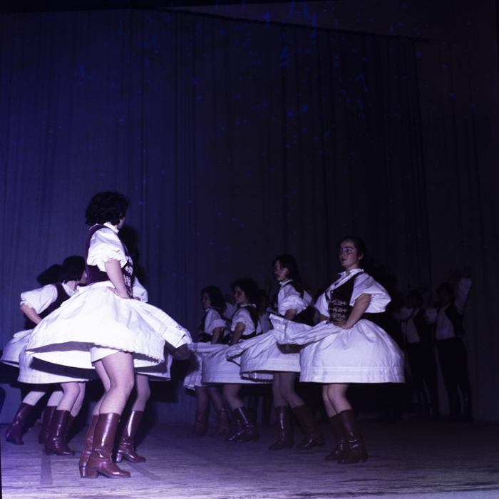 minerva_dn_bistrita_tanc_003