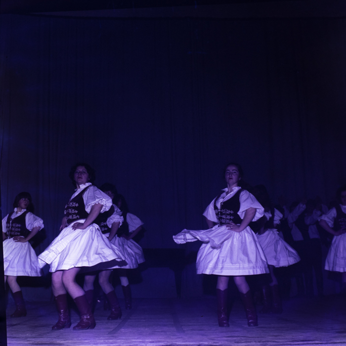 minerva_dn_bistrita_tanc_004