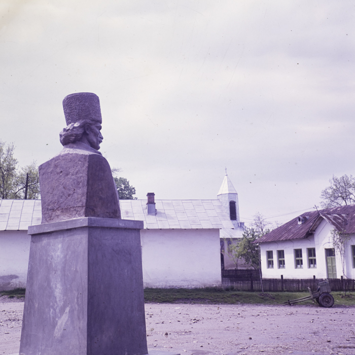 minerva_dn_comuna_vladimir_001