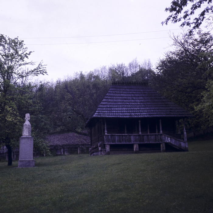 minerva_dn_comuna_vladimir_002