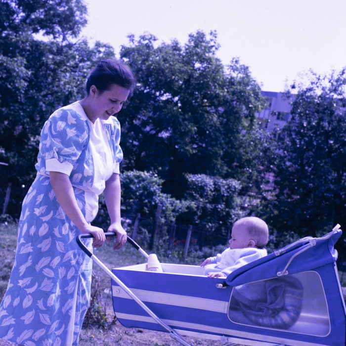 minerva_dn_covoare_beclean_001-3