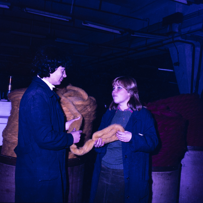 minerva_dn_covoare_beclean_001