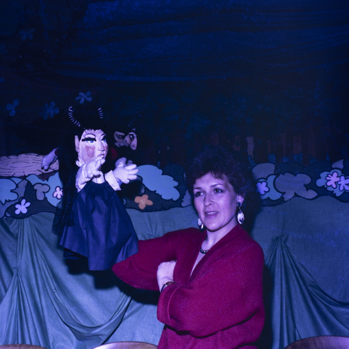 minerva_dn_covoare_beclean_002-2