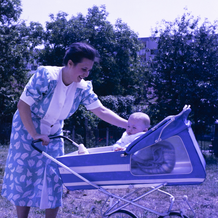 minerva_dn_covoare_beclean_002-3