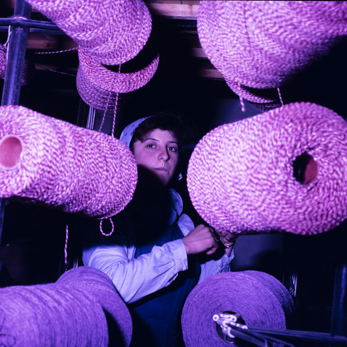 minerva_dn_covoare_beclean_002