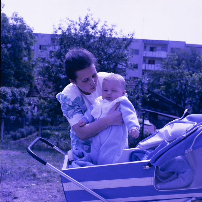 minerva_dn_covoare_beclean_003-2