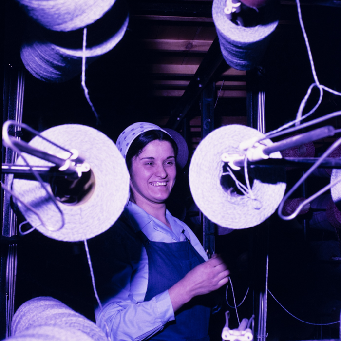 minerva_dn_covoare_beclean_003