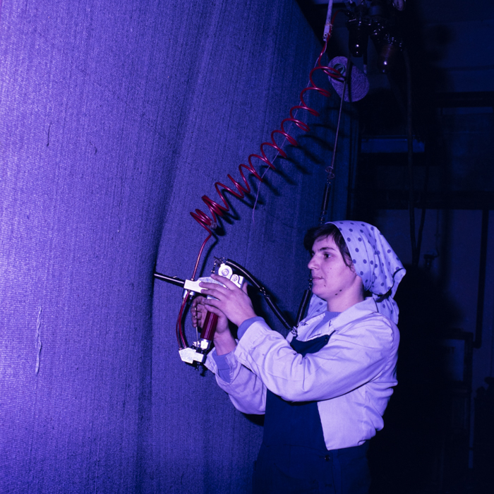 minerva_dn_covoare_beclean_004