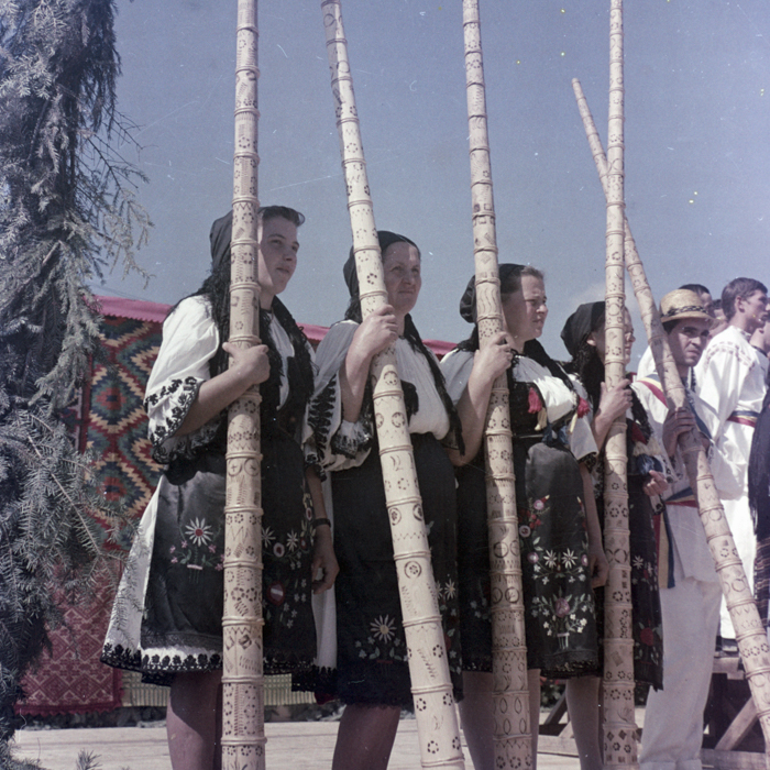 minerva_dn_dansuri_bistrita_004-2