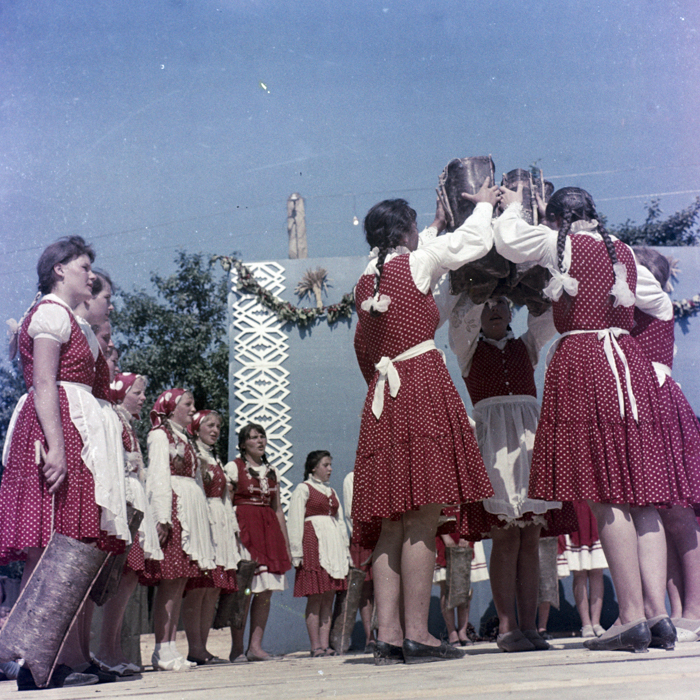 minerva_dn_dansuri_bistrita_004