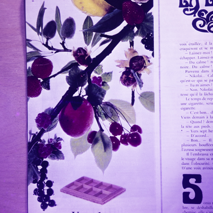 minerva_dn_fara_danumire_2_001