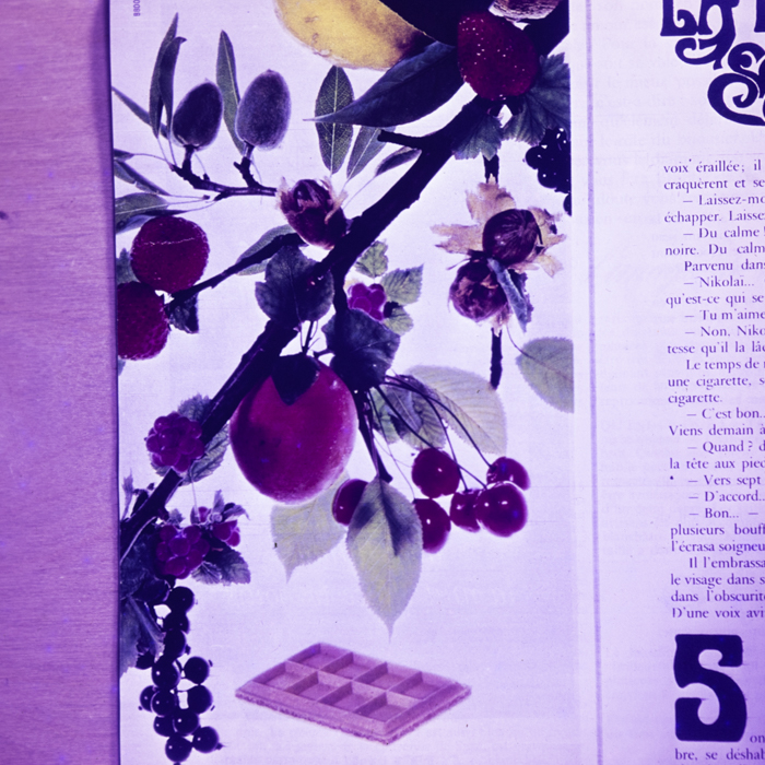 minerva_dn_fara_danumire_2_002