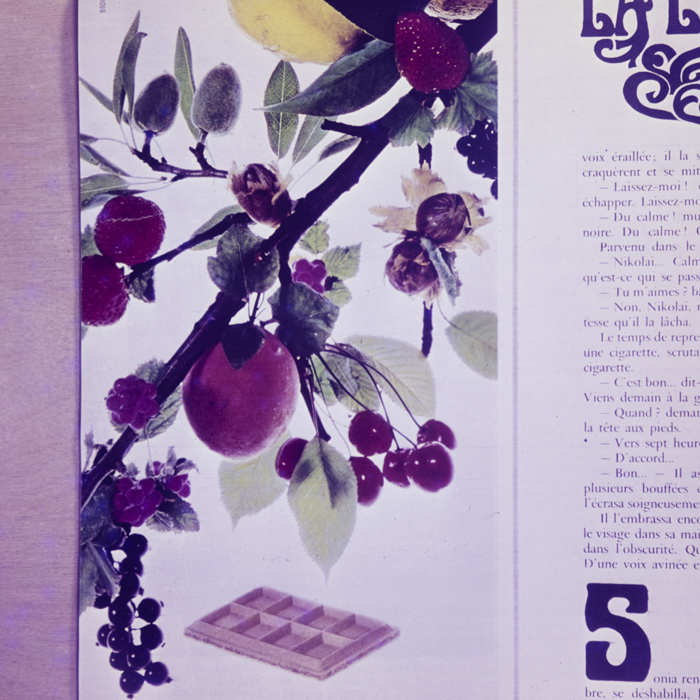 minerva_dn_fara_danumire_2_004