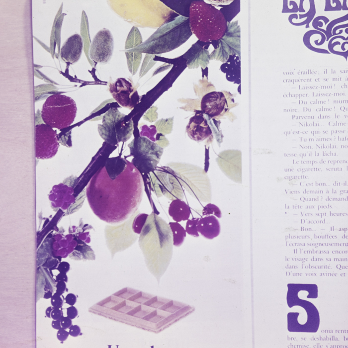 minerva_dn_fara_danumire_2_005