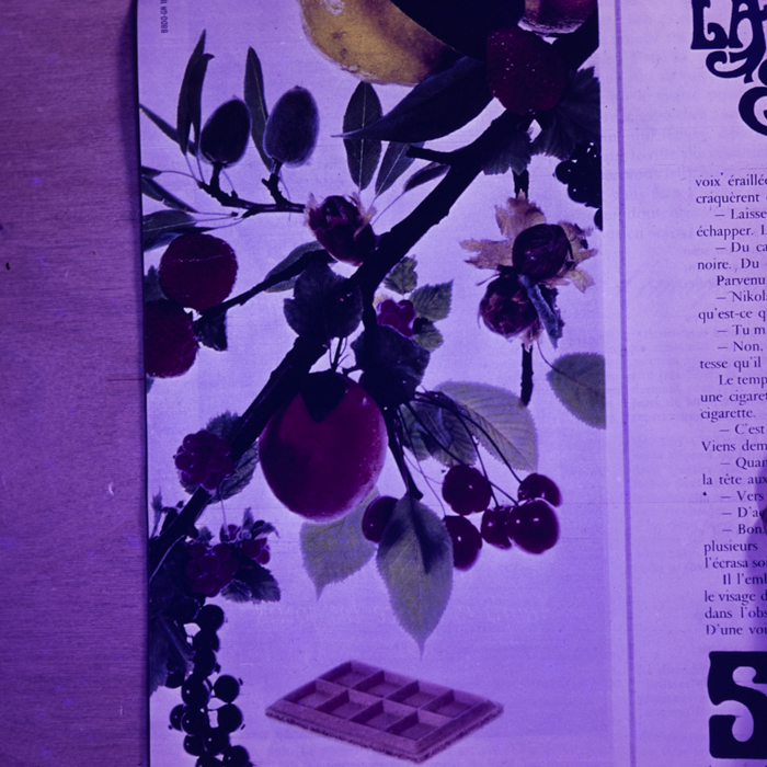 minerva_dn_fara_danumire_2_007