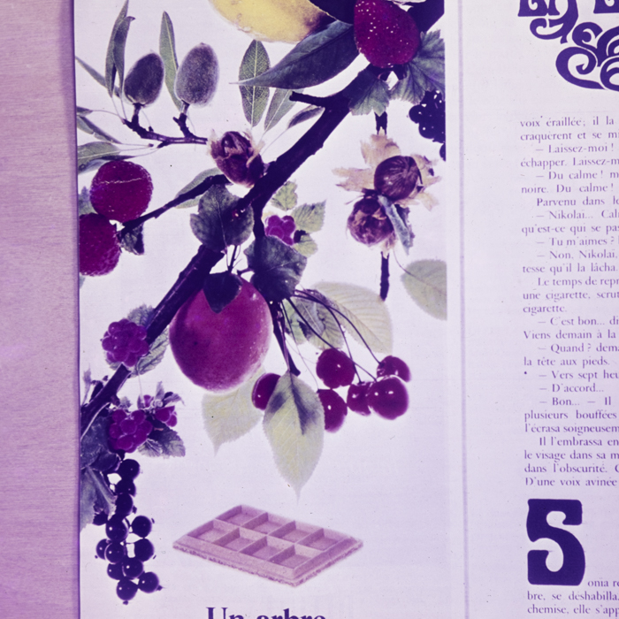 minerva_dn_fara_danumire_2_008