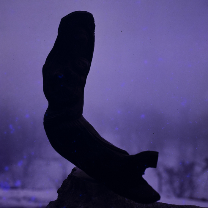 minerva_dn_fara_danumire_2_011