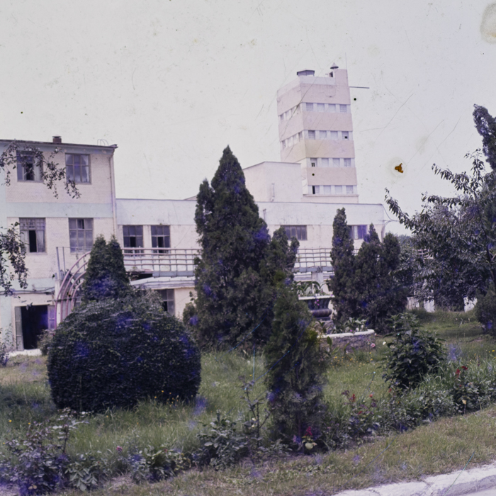 minerva_dn_fara_danumire_2_016