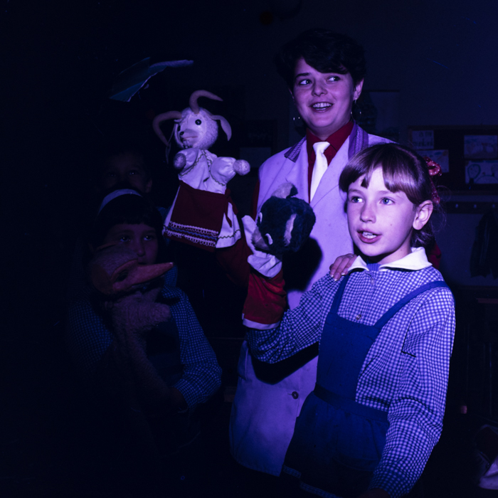 minerva_dn_fara_danumire_2_017