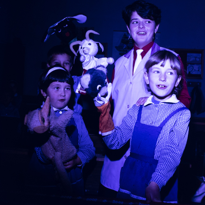 minerva_dn_fara_denumire_001