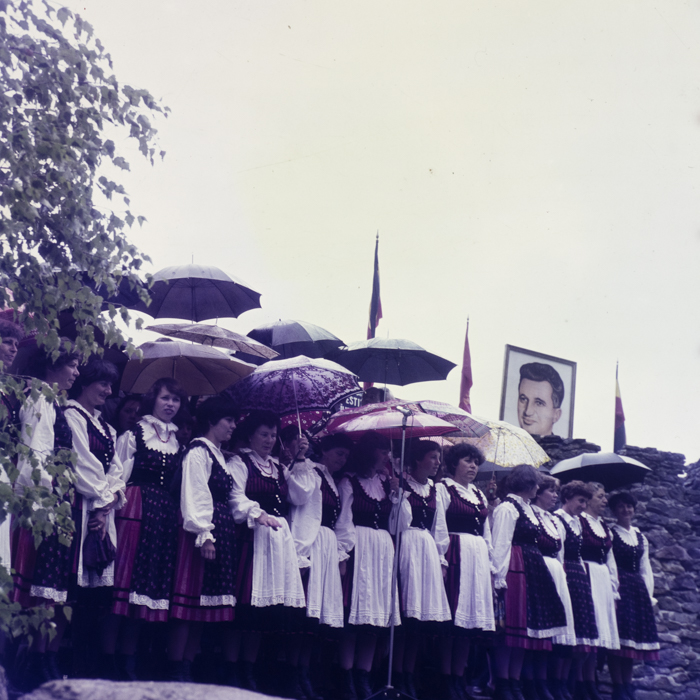 minerva_dn_fedolap_javaslat_001