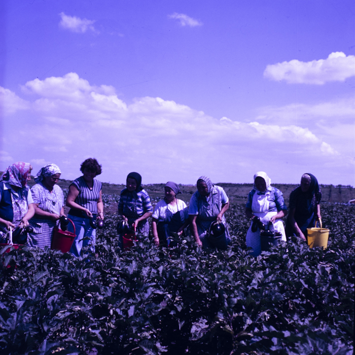 minerva_dn_fedolap_javaslat_002