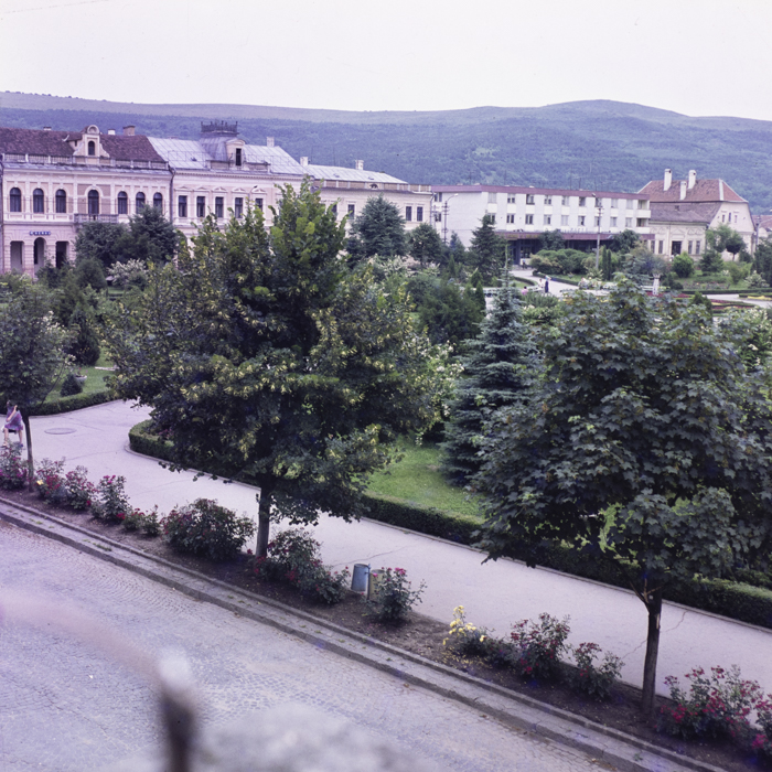 minerva_dn_gherla_004