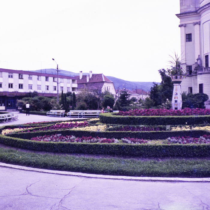 minerva_dn_gherla_006