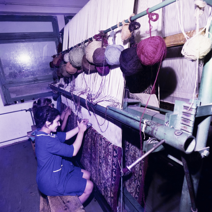 minerva_dn_gherla_009