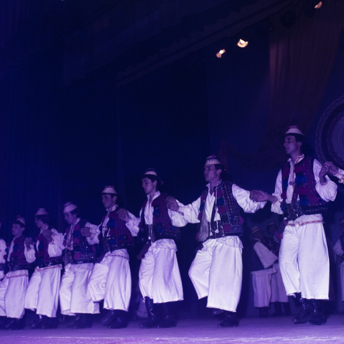 minerva_dn_intreprindere_mecanica_baia_mare_dans_barbatesc_001