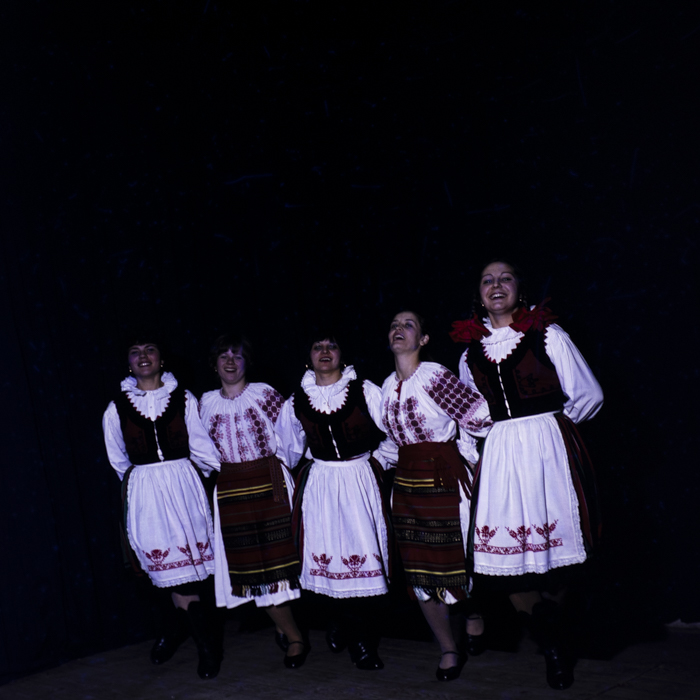 minerva_dn_judetul_covasna_002