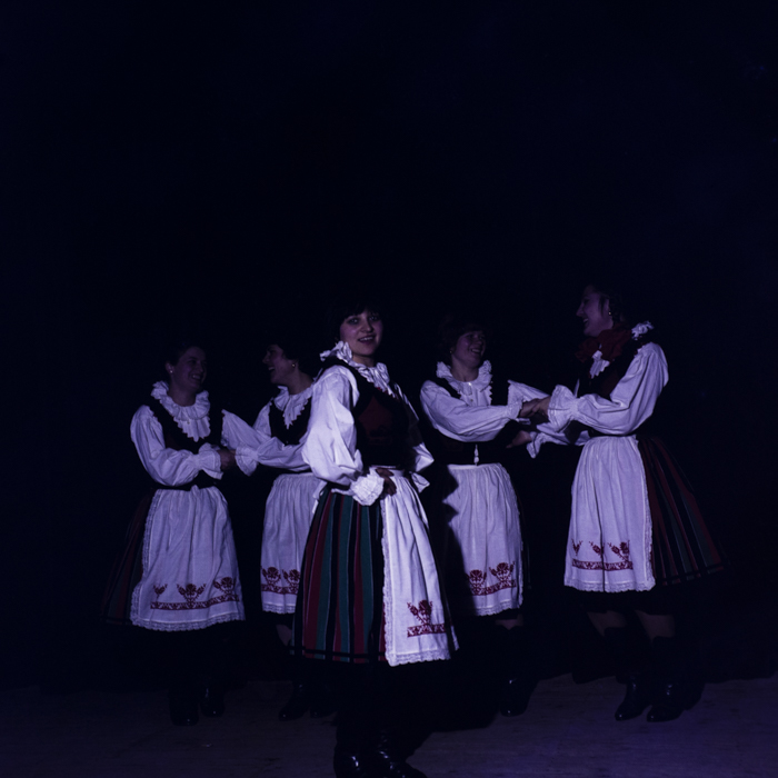 minerva_dn_judetul_covasna_004