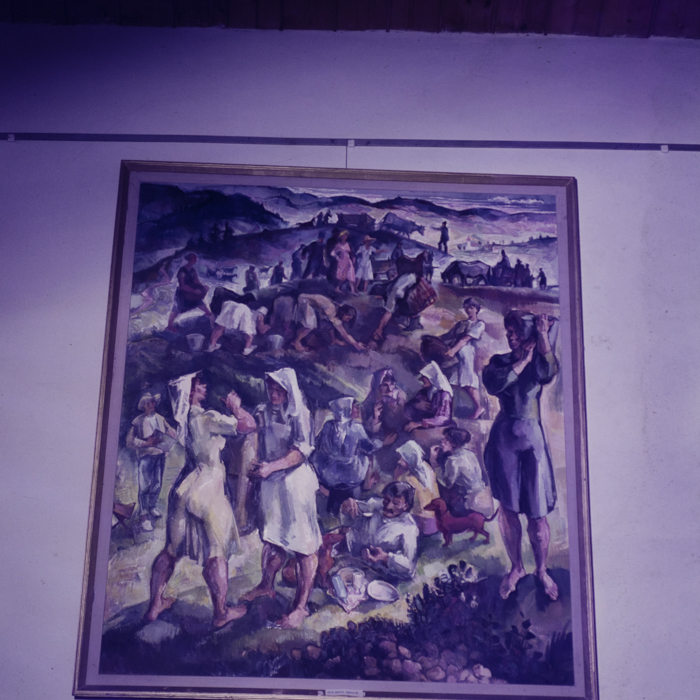 minerva_dn_kepzomuveszet_nok_nokrol_004